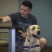 Pups for warriors: Marines with Wounded Warrior Battalion help train service dogs