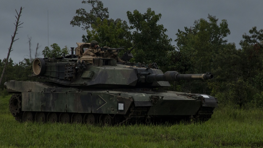 Battalion Landing Team 1st Battalion, 2nd Marines engage in combined arms ranges