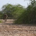 PSYOPS Soldiers attend SERE desert survival class