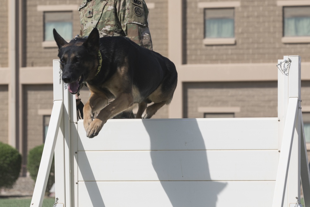 Area Support Group - Kuwait Military Working Dog Demonstration
