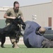 Area Support Group - Kuwait Military Working Dog Demonstration
