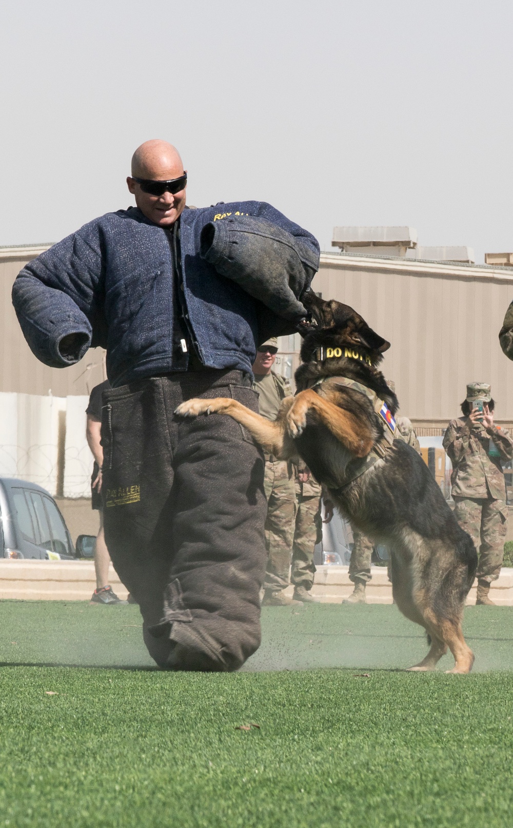 Area Support Group - Kuwait Military Working Dog Demonstration