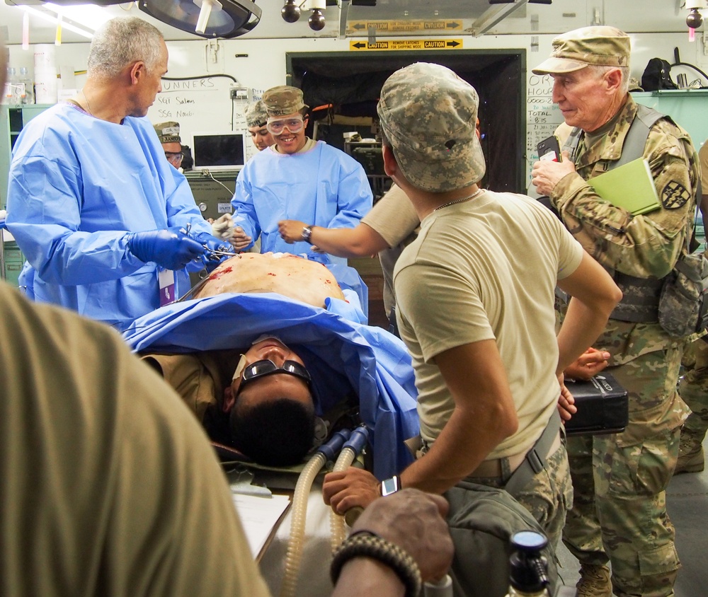U.S. Army Reserve Soldiers assigned to 228th Combat Support Hospital, based out of San Antonio, Texas, provide medical care for a simulated patient during Global Medic CSTX 91-18-01, at Fort Hunter Liggett, California, July 21, 2018.