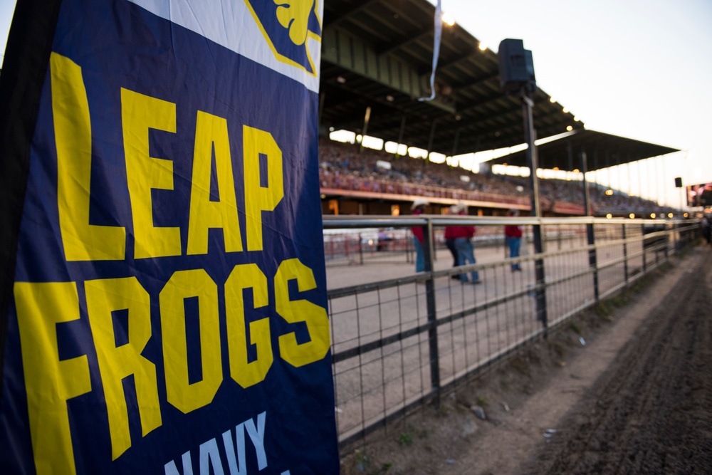 Leapfrogs