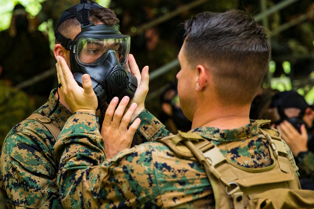 CORTRAMID Gas Chamber and CBRN Trial