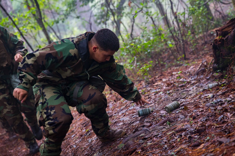 CORTRAMID Gas Chamber and CBRN Trial