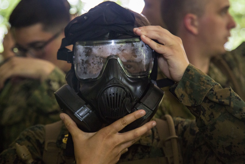 CORTRAMID Gas Chamber and CBRN Trial