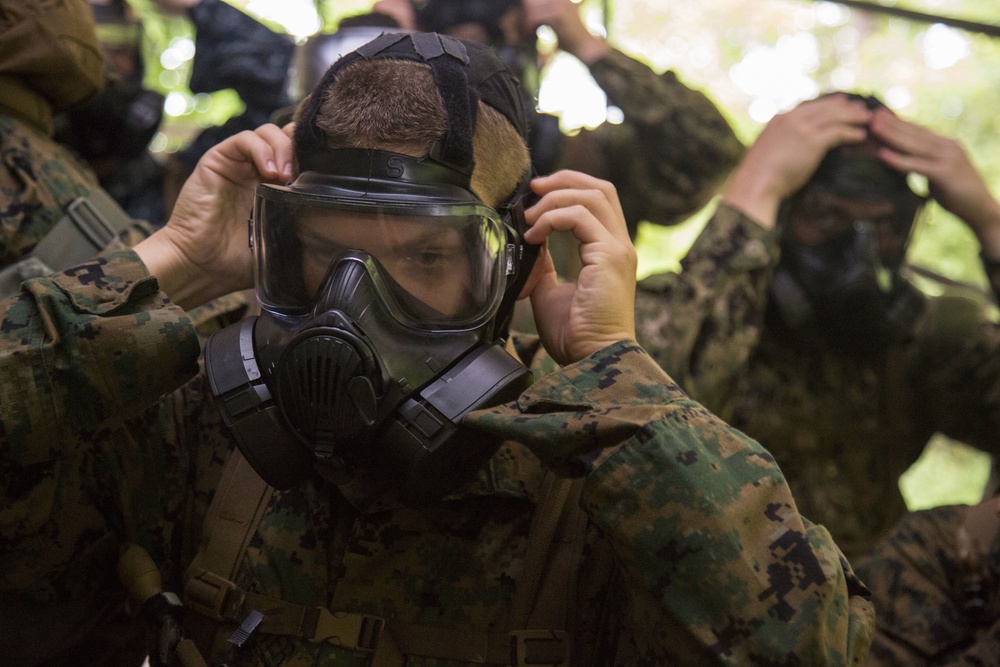 CORTRAMID Gas Chamber and CBRN Trial