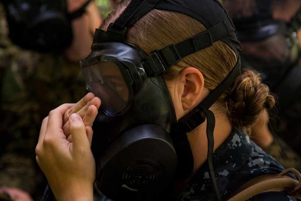 CORTRAMID Gas Chamber and CBRN Trial