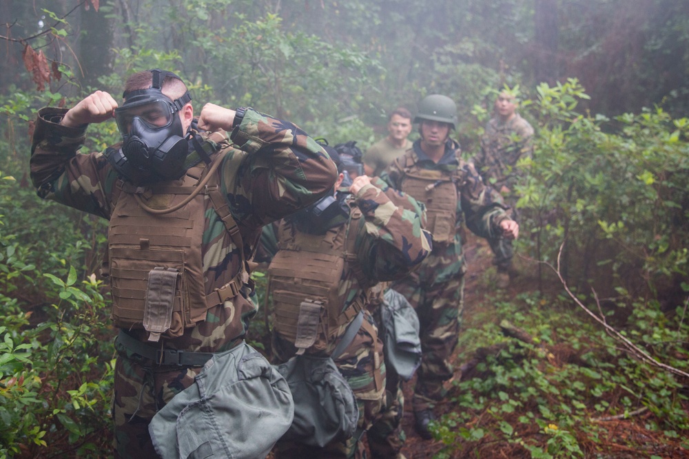 CORTRAMID Gas Chamber and CBRN Trial