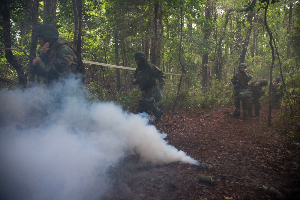 CORTRAMID Gas Chamber and CBRN Trial