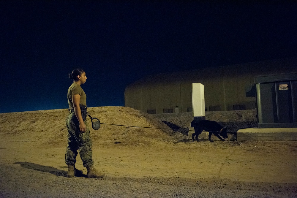Military Working Dogs and their Handlers Train Together