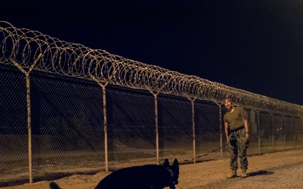 Military Working Dogs and their Handlers Train Together