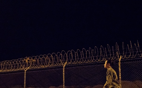 Military Working Dogs and their Handlers Train Together