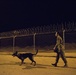 Military Working Dogs and their Handlers Train Together