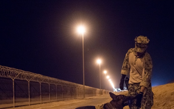 Military Working Dogs and their Handlers Train Together