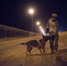 Military Working Dogs and their Handlers Train Together