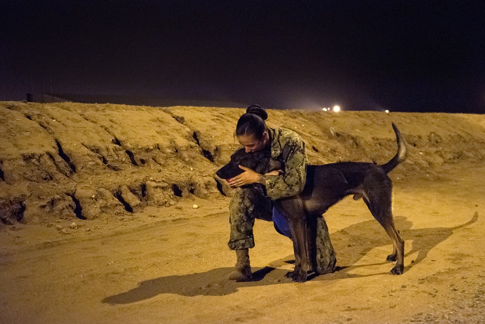 Military Working Dogs and their Handlers Train Together