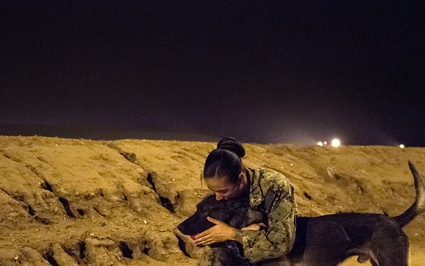 Military Working Dogs and their Handlers Train Together