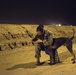 Military Working Dogs and their Handlers Train Together