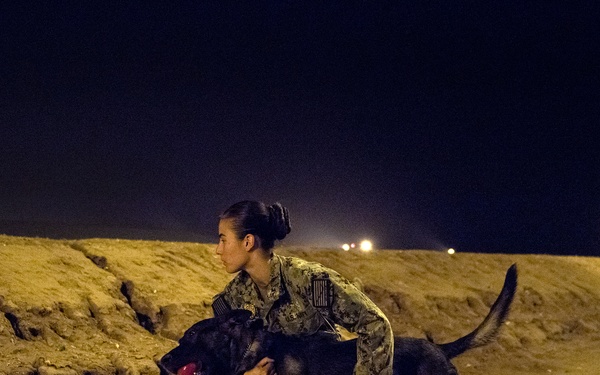Military Working Dogs and their Handlers Train Together