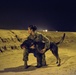 Military Working Dogs and their Handlers Train Together