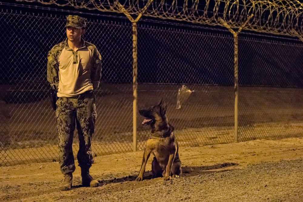 Military Working Dogs and their Handlers Train Together