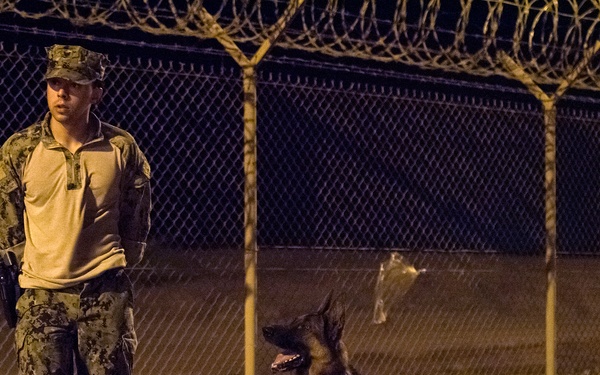 Military Working Dogs and their Handlers Train Together