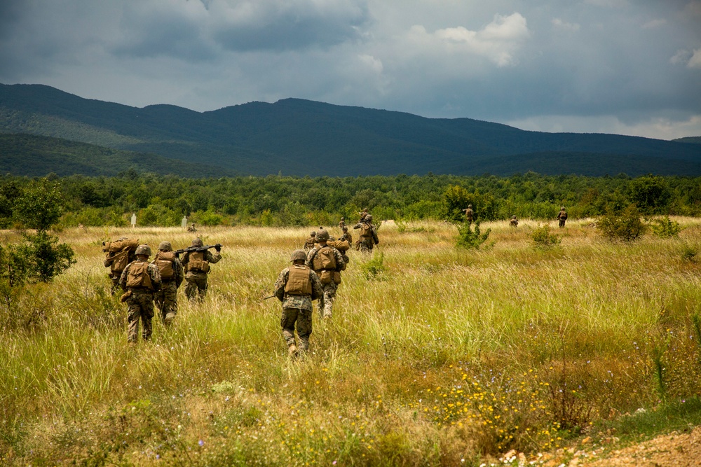 Platinum Lion APOBS Dry Run