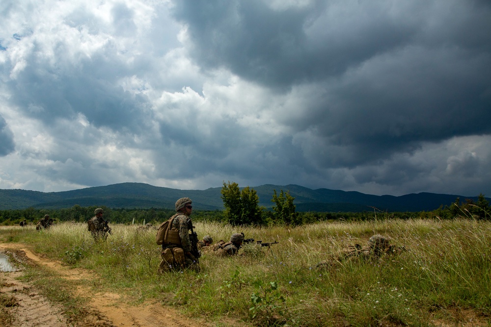 Platinum Lion APOBS Dry Run