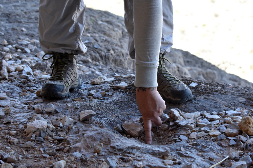 Fort Bliss archaeology: A team effort