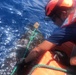 Coast Guard Cutter Hamilton crew rescues sea turtle