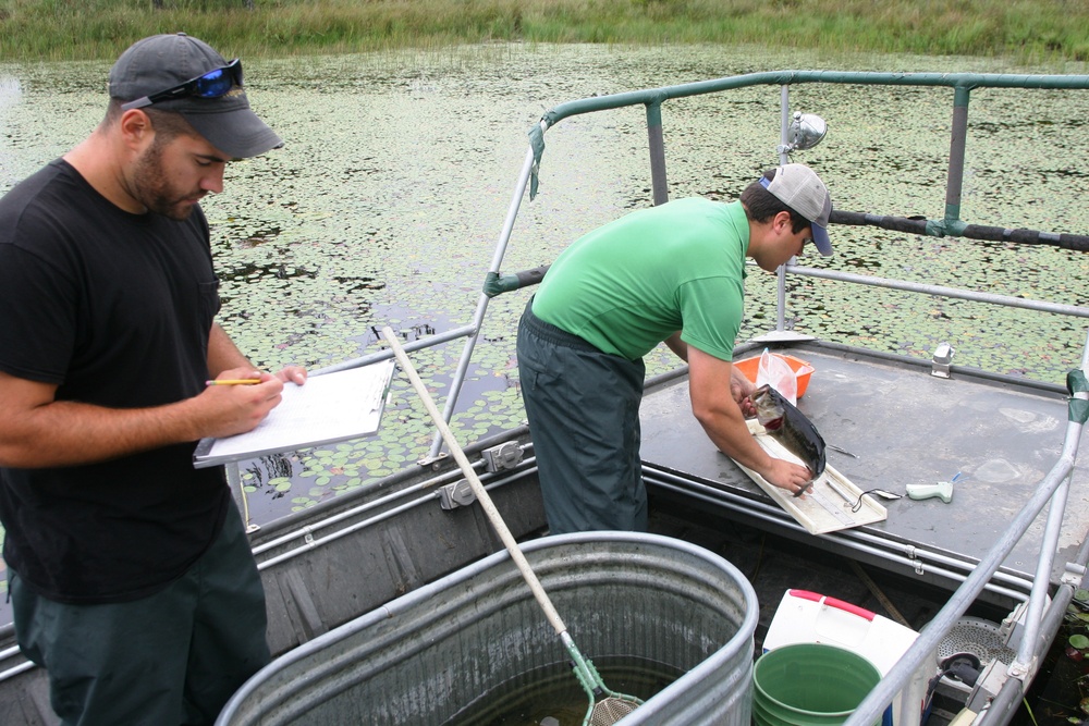 2015 Bass Population Survey at Fort McCoy's North Flowage