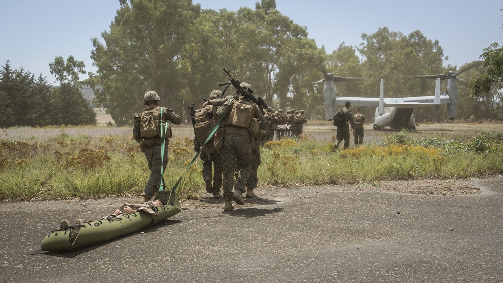 Joint Service Exercise