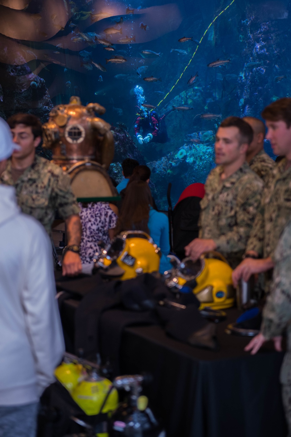 NSE Dive Locker Hosts Static Display at Seattle Aquarium