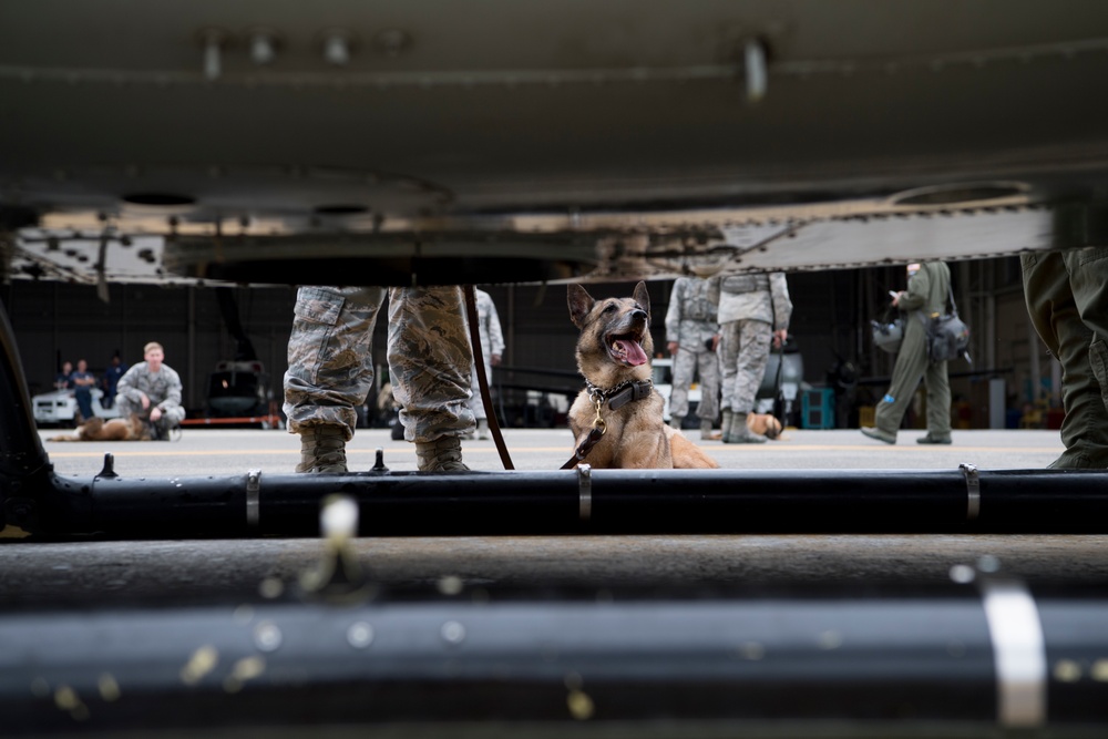 374th MWD's Fly With the 459th Airlift Squadron