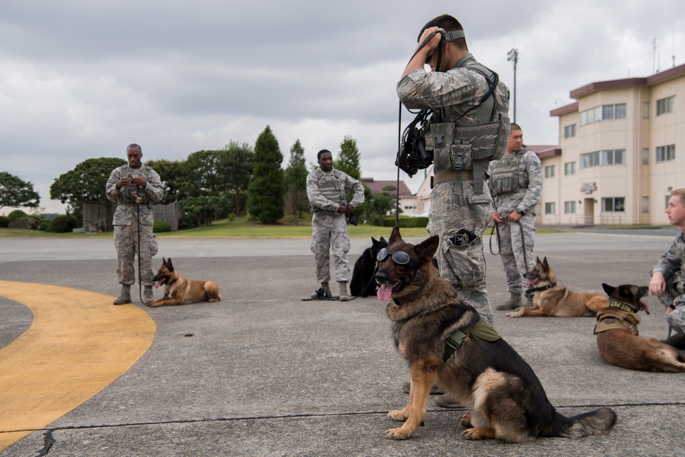 374th MWD's Fly With the 459th Airlift Squadron
