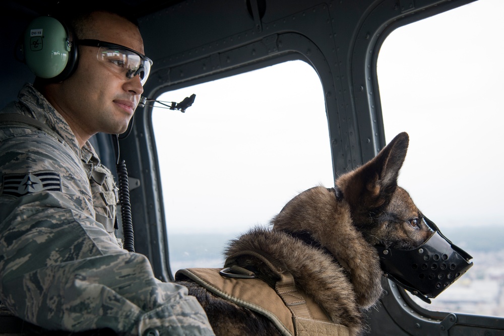 374th MWD's Fly With the 459th Airlift Squadron