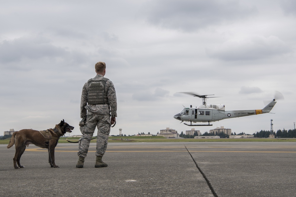 374th MWD's Fly With the 459th Airlift Squadron