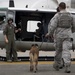 374th MWD's Fly With the 459th Airlift Squadron