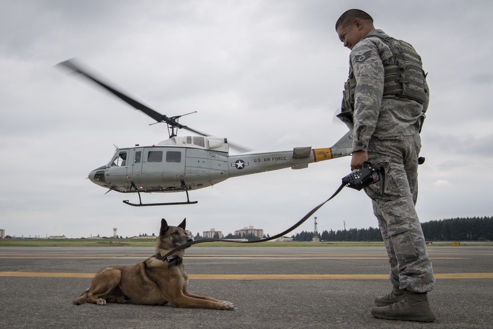 374th MWD's Fly With the 459th Airlift Squadron