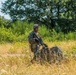 Marines dismounts maneuvering to an objective