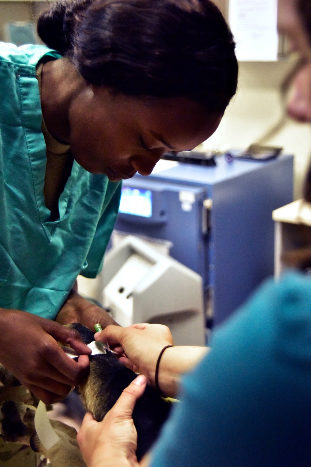 MWD Dental Cleaning at NSA Naples