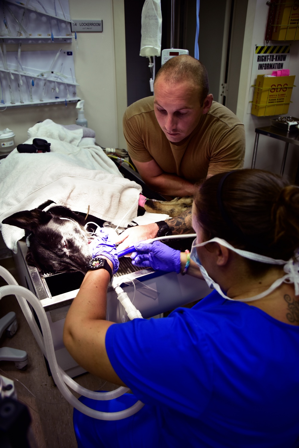 MWD Dental Cleaning at NSA Naples