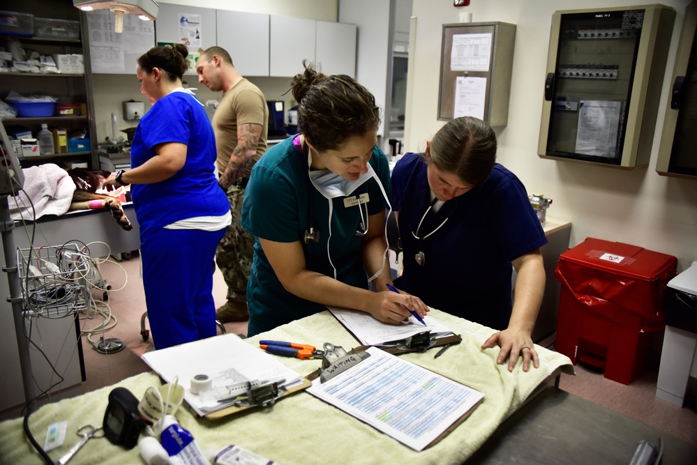 MWD Dental Cleaning at NSA Naples