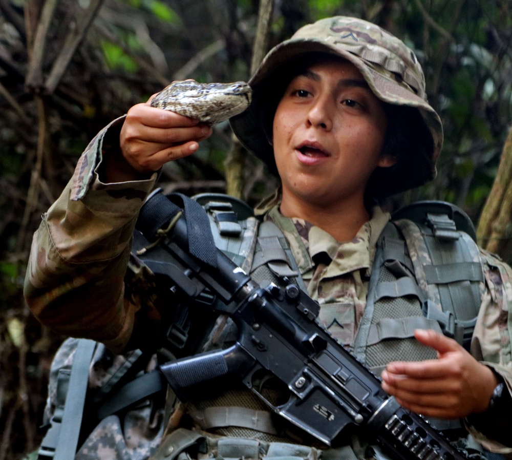 Jungle Warfare 2018