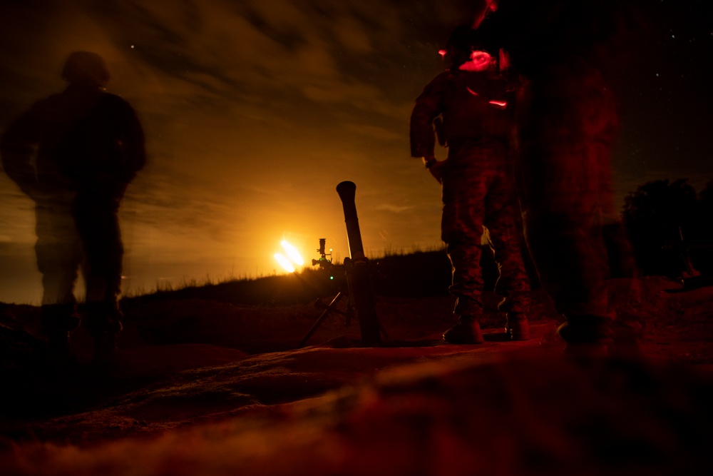 DVIDS - Images - 1st Battalion, 2nd Marines FIREX range [Image 5 of 7]