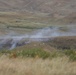 2CR observes Georgian tank live fire