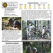 OCS Phase III Camp MWR Flyer-3 2018
