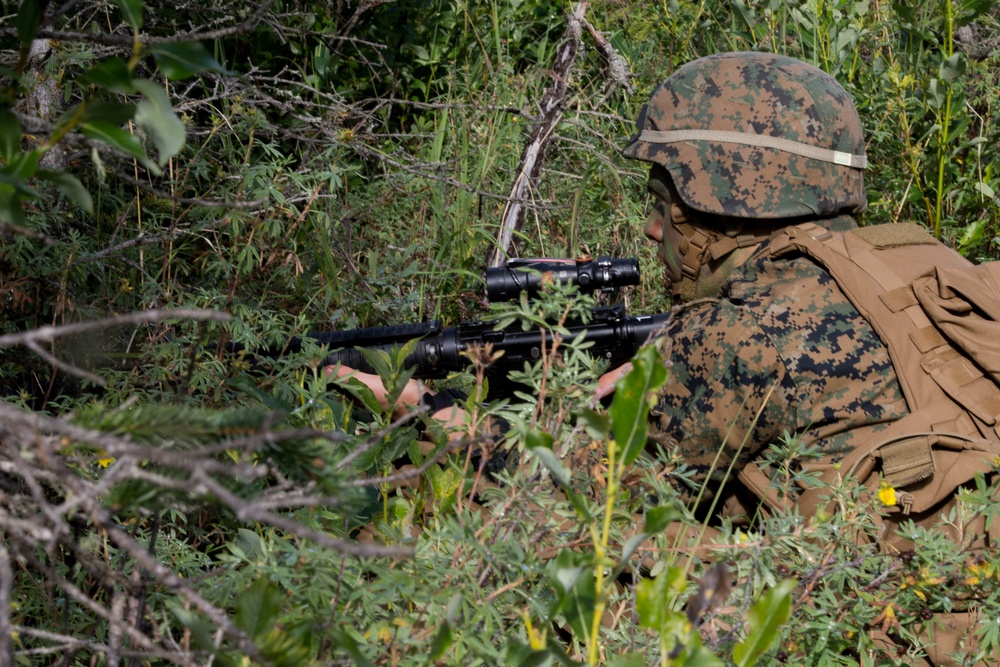 DVIDS - Images - 4th Marine Division Super Squad Competitors Conduct ...